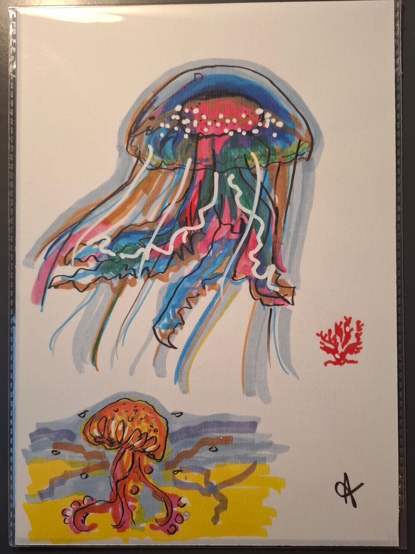 Méduses Jellyfishes - PRINT