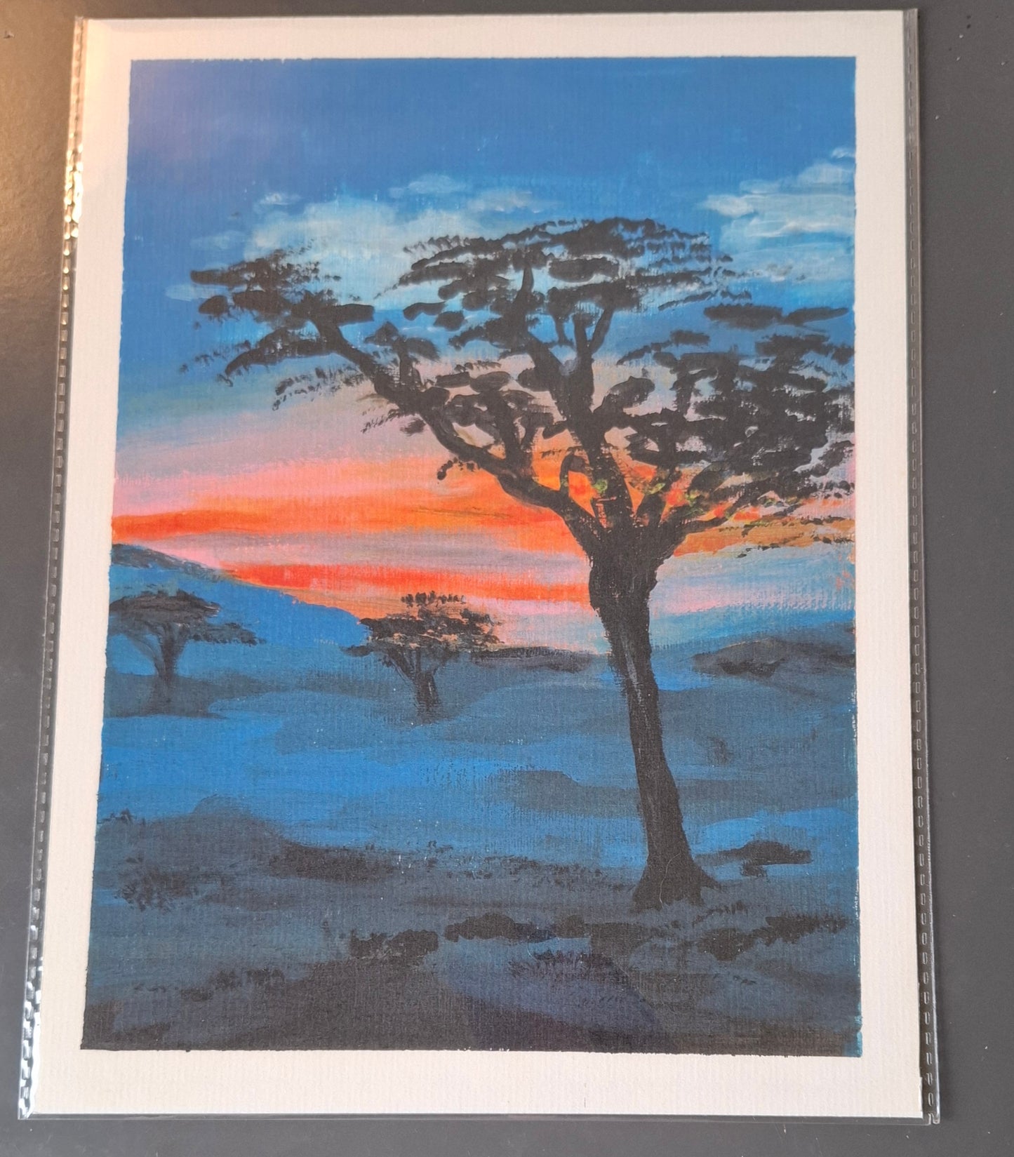 Morning Stone pine - Pin parasol au matin - PRINT