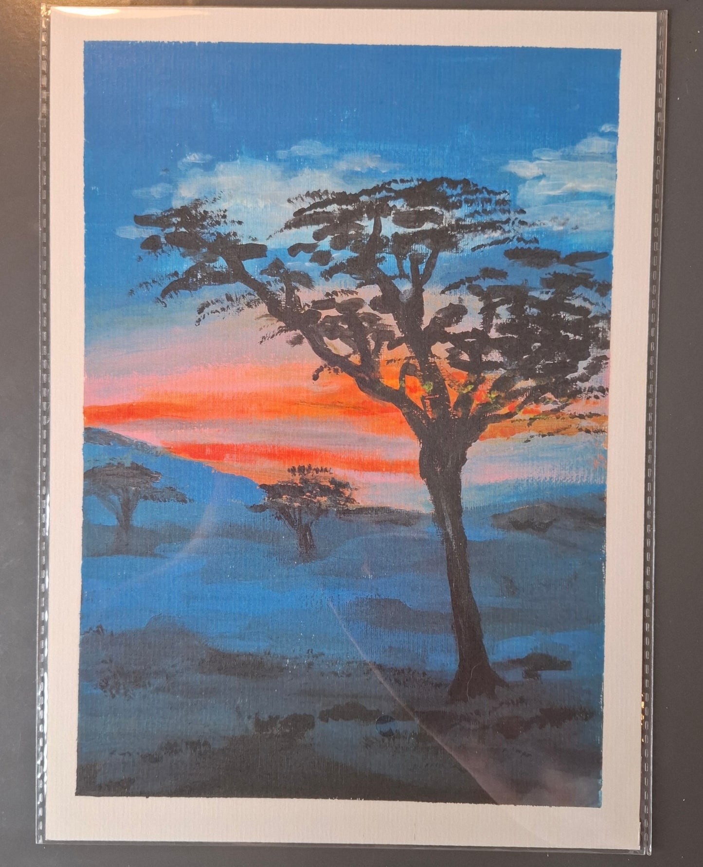 Morning Stone pine - Pin parasol au matin - PRINT
